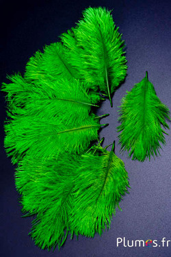 Struzzo Bellies - 8-13 cm - lime